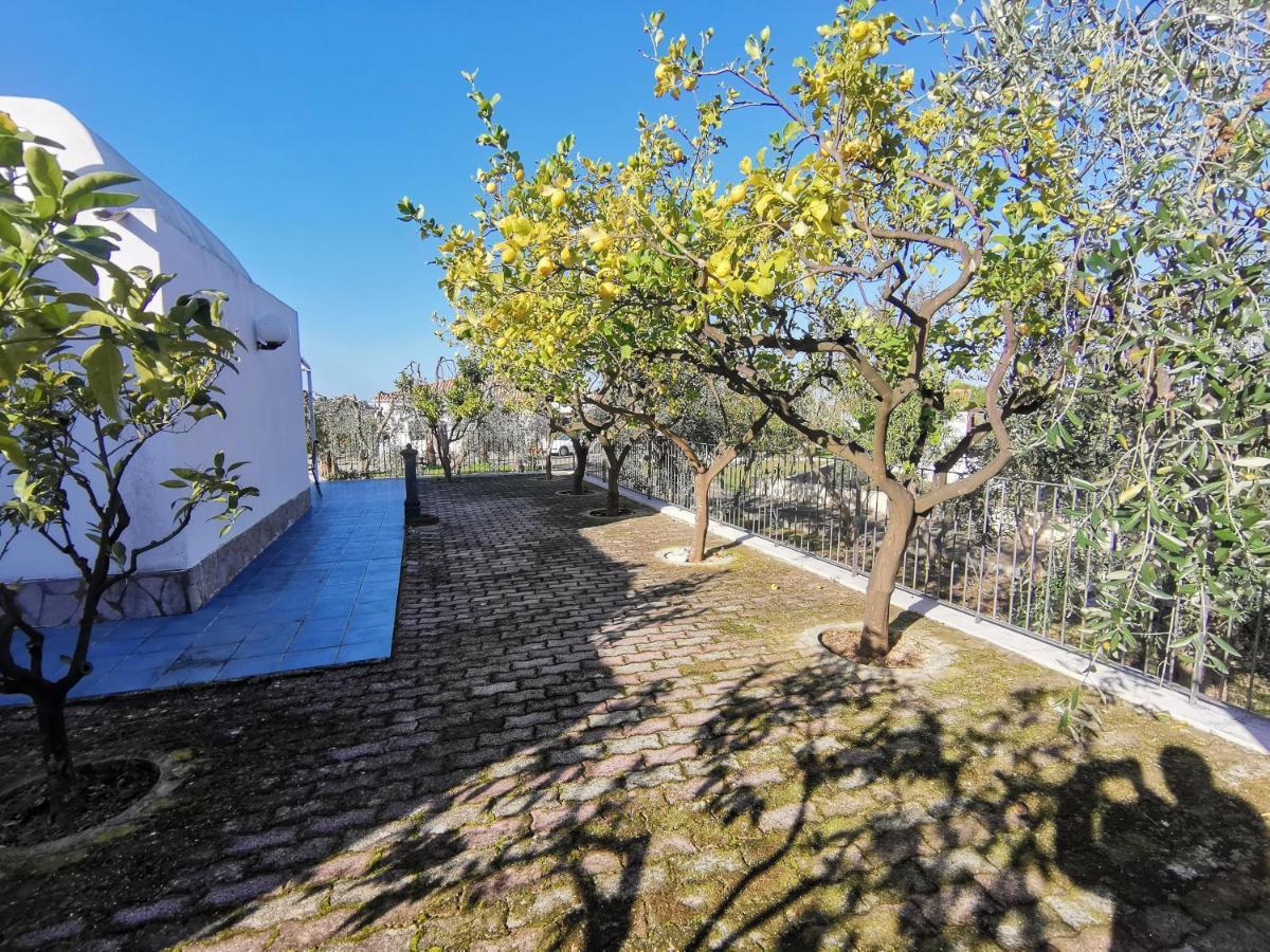 Tenuta Solleone Peschici Exterior foto