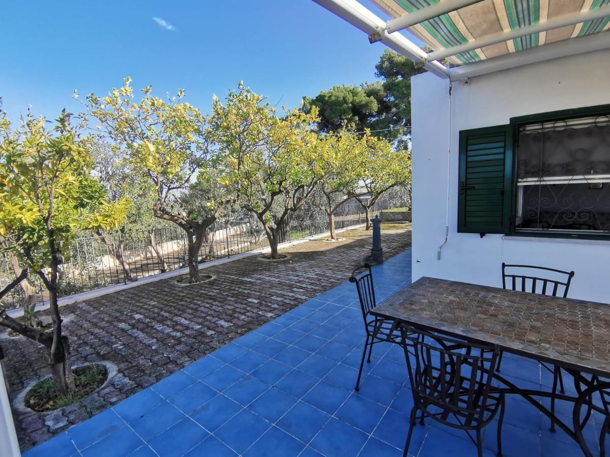Tenuta Solleone Peschici Exterior foto