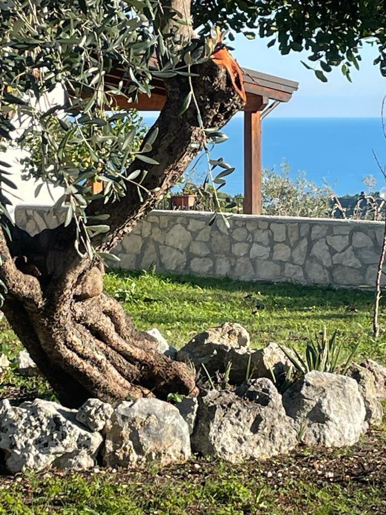 Tenuta Solleone Peschici Exterior foto